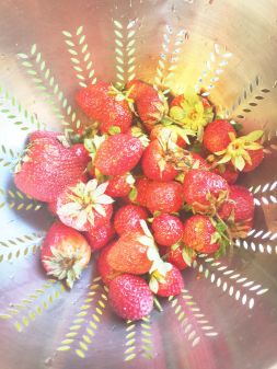 strawberries.jpg 2
